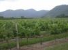 PB Valley winery 44.jpg 2.1K